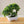 be126297136530903009f2b82b983fdf