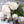 fe158817a0c387b705d56f45910fdde0