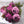 fe6b27f98cb5a6feb65cc7de1ee99325