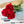 c71fb6d3968e4a9f2a0d6718fbfa9da8