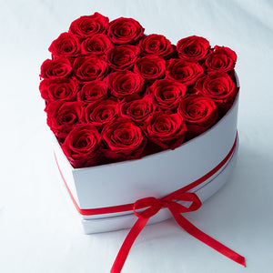 706cc8d182aa1a5e2ad7fd3c8c4d310f