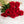 825a44351ed863de531621d5a13e5778