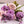 7ffcbc4224c8394f8ad8db26c44dfd16