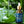 Magical Skin Rejuvenation Serum Anti-Wrinkle Essence Firming Lift Fine Lines Anti-Ageing Antioxidant Moisturise Korean Skincare
