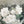 Spring Beauty White Floral Wall Art – Brush Texture Print in Antique Gold Frame – Elegant Flower Art, 16X20
